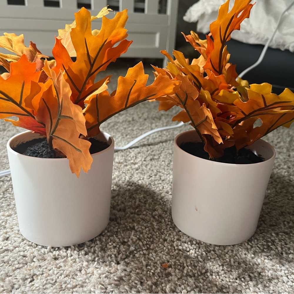 Fake plants